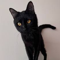 Thumbnail photo of Gary #3