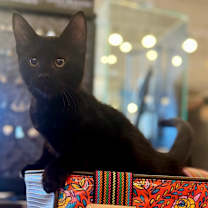 Thumbnail photo of Ricky #4