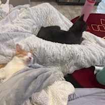 Thumbnail photo of Lil Spliff - In Foster #2