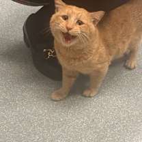 Thumbnail photo of Quigley #1