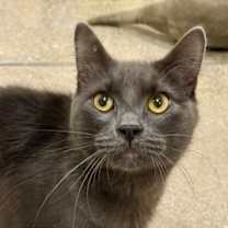 Thumbnail photo of Ivan #1