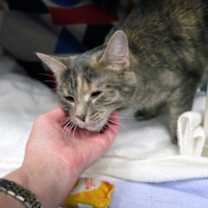 Thumbnail photo of Winifred #2