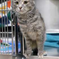 Thumbnail photo of Winifred #3