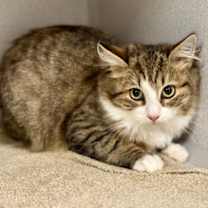 Thumbnail photo of Sugar #2