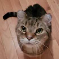 Thumbnail photo of Sunshine #1