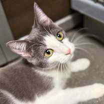 Thumbnail photo of Dottie #1