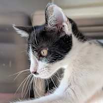 Thumbnail photo of Yosemite #1