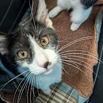 Thumbnail photo of Yosemite #3