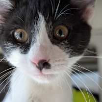 Thumbnail photo of Yosemite #4