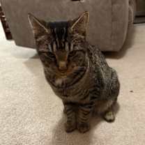 Thumbnail photo of Frank #3