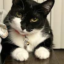 Thumbnail photo of Dot #1