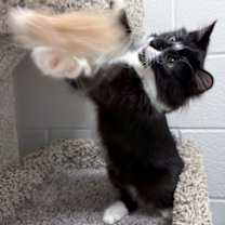 Thumbnail photo of Jack #3