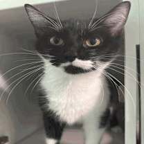 Thumbnail photo of Melanie #2