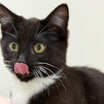 Thumbnail photo of Anna #2