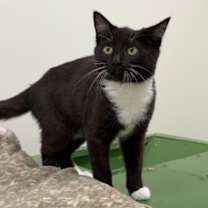 Thumbnail photo of Anna #3