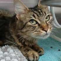 Thumbnail photo of Paloma #1