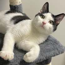 Thumbnail photo of Rocket #1