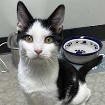 Thumbnail photo of Rocket #2