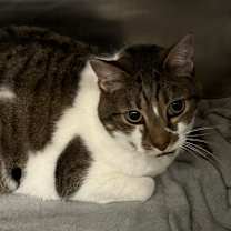 Thumbnail photo of Miller #2