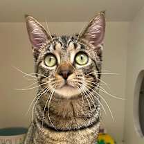 Thumbnail photo of Sofie #1