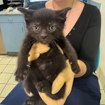 Thumbnail photo of Allan #3