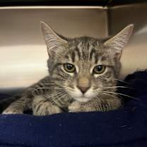 Thumbnail photo of Fred (green) #2