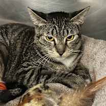 Thumbnail photo of Baby Sue #1