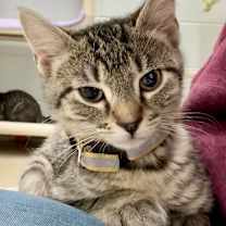 Thumbnail photo of Clarice #3