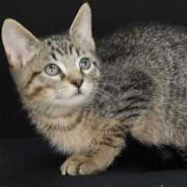 Thumbnail photo of Ocean #2