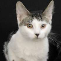 Thumbnail photo of Oatmeal #2