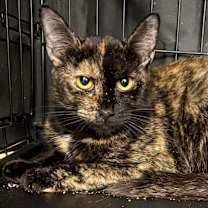 Thumbnail photo of Jenna #1