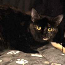 Thumbnail photo of Marbles #2