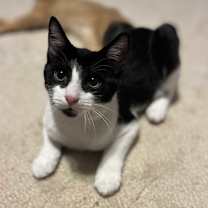 Thumbnail photo of Eleni #1