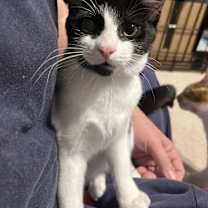 Thumbnail photo of Eleni #2