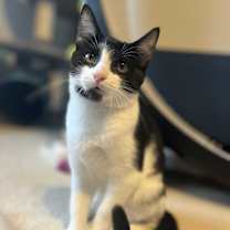 Thumbnail photo of Eleni #3