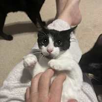 Thumbnail photo of Eleni #4