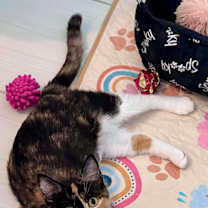 Thumbnail photo of Harvest #1