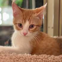 Thumbnail photo of Finn #1