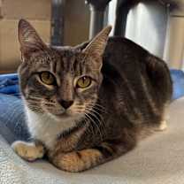 Thumbnail photo of Tammy #1