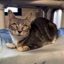 Thumbnail photo of Tammy #2