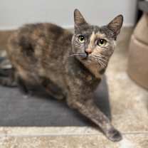 Thumbnail photo of Asia #1