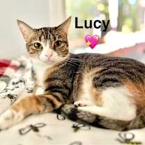 Thumbnail photo of Lucy #1