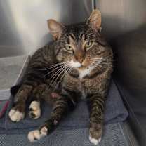 Thumbnail photo of Oscar #3