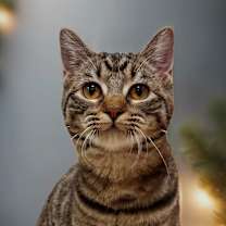 Thumbnail photo of Myra #1