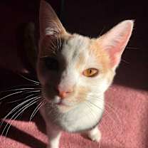 Thumbnail photo of Jasper #1