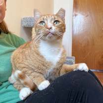 Thumbnail photo of Ferdinand #3