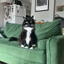 Thumbnail photo of Sesame #1