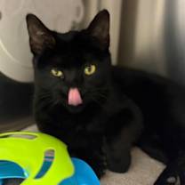 Thumbnail photo of Cleo #3