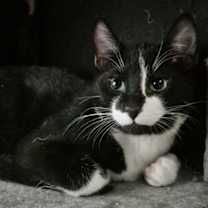 Thumbnail photo of Flash #2