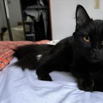 Thumbnail photo of RENEE #1